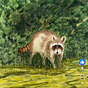 Raccoon Rendezvous by Shelley Crouch 