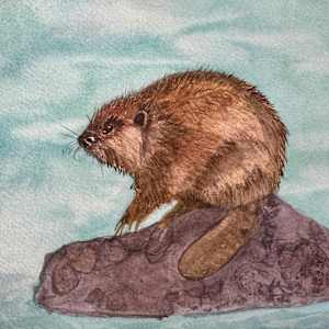 The Quiet Engineer by Shelley Crouch