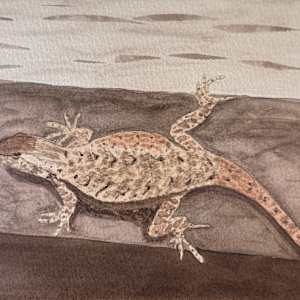 Lounge Lizard by Shelley Crouch 