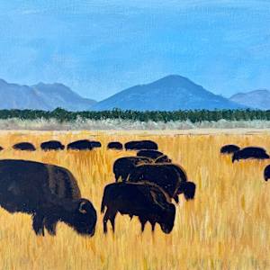Home on the Range by Shelley Crouch, Image 1.