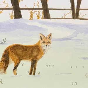 Stone Cold Fox by Shelley Crouch, Image 1.