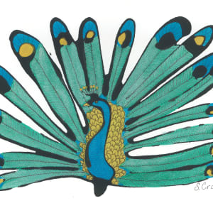 Peacock Pride by Shelley Crouch