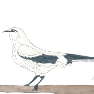 Mockingbird by Shelley Crouch 