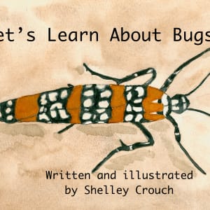 Let's Learn About Bugs by Shelley Crouch