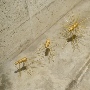 Three giant ants by Gerhard Petzl  Image: Three giant ants walking on concrete