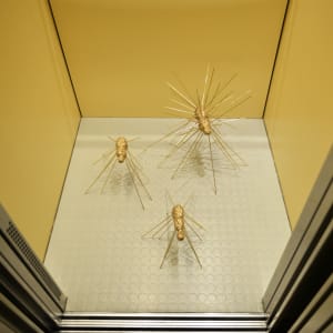 Three giant ants by Gerhard Petzl