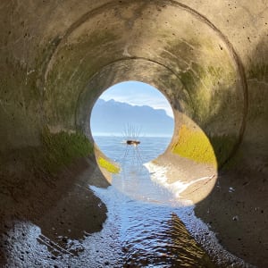Three giant ants by Gerhard Petzl  Image: Inside a draining tube looking at the French side of Lake Geneva