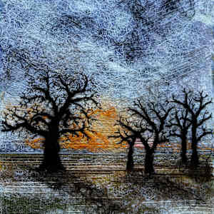 Winter Veins by Irmgard Geul