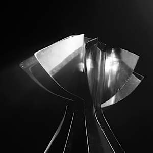 PRESENCIA II by Daniel Alberto Criales Zarate, Image 3.