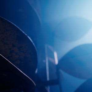 ACERO ARBOREO I by Daniel Alberto Criales Zarate 