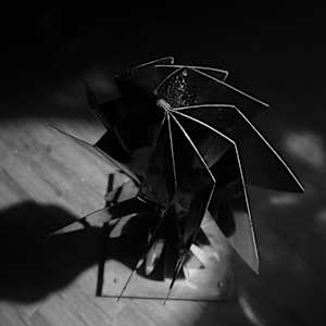 PRESENCIA II by Daniel Alberto Criales Zarate, Image 2.