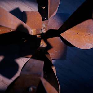 ACERO ARBOREO I by Daniel Alberto Criales Zarate 