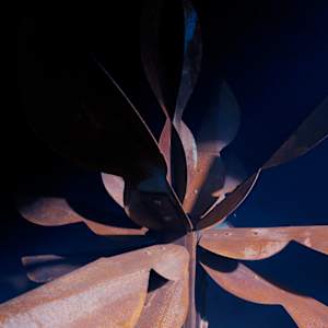 VESTIGIO II by Daniel Alberto Criales Zarate, Image 2.