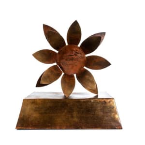 FLOR DE LUZ OXIDADA by Daniel Alberto Criales Zarate 