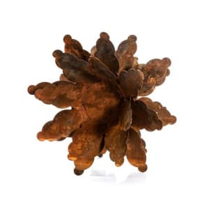 DANZANTE I by Daniel Alberto Criales Zarate 