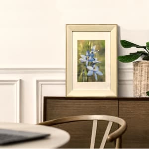 Blue Lady Orchids by Polla Posavec 