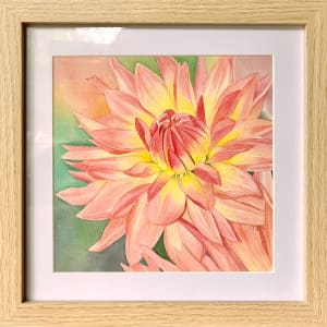 In Full Bloom (dahlia) by Polla Posavec 
