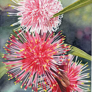 Pincushion Perfection by Polla Posavec, Image 4.