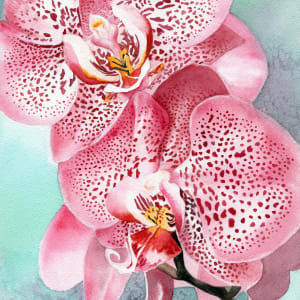 Seduction (Moth Orchid) by Polla Posavec 