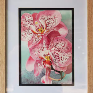 Seduction (Moth Orchid) by Polla Posavec 