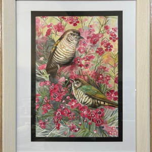 Shining Bronze Cuckoo in the Geraldton Wax by Polla Posavec  Image: Shining Bronze cuckoo in frame