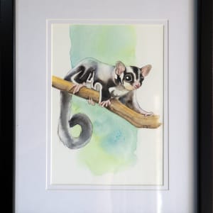 Sugar Glider (mini) by Polla Posavec 