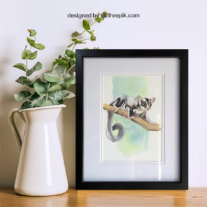 Sugar Glider (mini) by Polla Posavec 