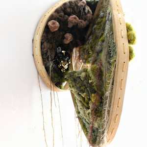 Interconectedness by Natalie Sullivan 