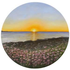 Where Hope Blossoms by Rachel Lee