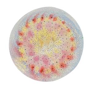 Starburst by Stephanie McGinn