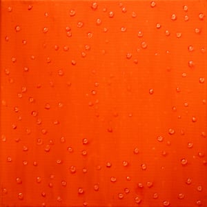 Moist 3 by Kevin Grant