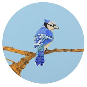 Looking Back by Susan Wesenhagen