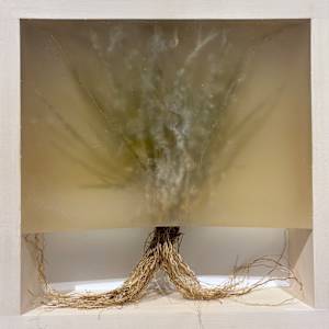 Oh The Places You Could Go by Aaron Outhwaite