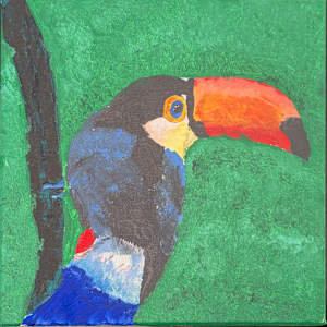 The Silent Tucan by Julia Bond