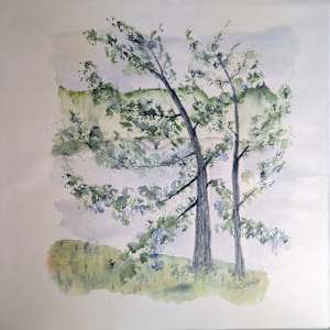 MISTY MORNING ON THE FRENCH by Cheryl Gould