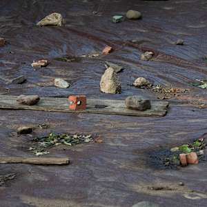 Backyard Stonehenge by Tielin Ding