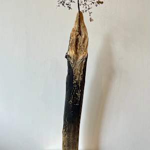 Eywa by Rachel Joyce, Image 4.