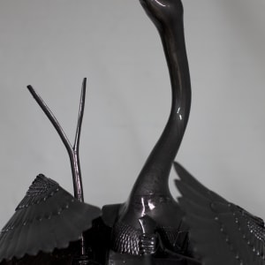 Dark Cygnus by Victor Liu  Image: Detail