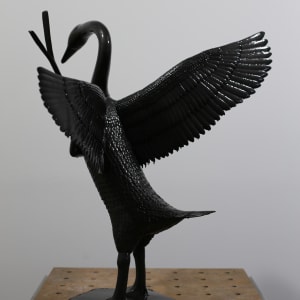 Dark Cygnus, Take Care by Victor Liu 