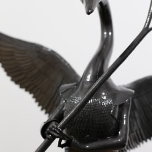 Dark Cygnus, Take Care by Victor Liu  Image: Detail