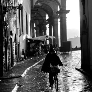Firenze Rain by Louise O