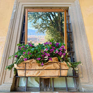 Glimpsing by Louise O, Image 2.