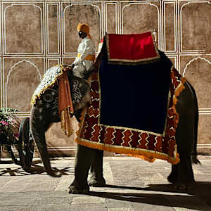 Night Light by Louise O