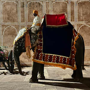 Night Ride by Louise O