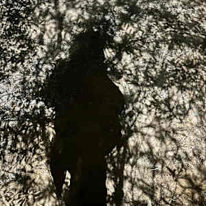 Shadowed by Louise O 