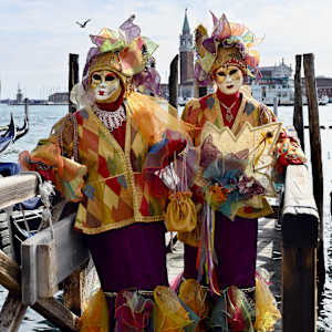 Harlequin by Louise O