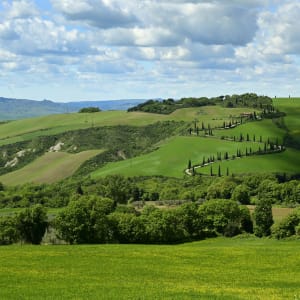 Winding Road by Louise O