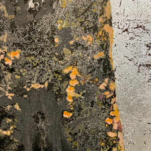 old oak by gaby roter 