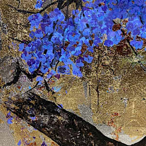 jacaranda II by gaby roter 