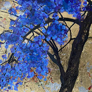 jacaranda II by gaby roter 